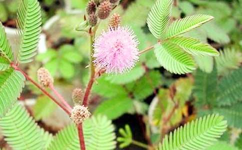 �^�캬�߲������\��[15ƪ]