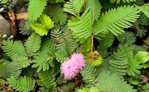 �^�캬�߲����ģ����x58ƪ��