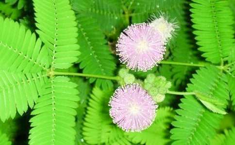 �^�캬�߲ݵČW(xu��)������