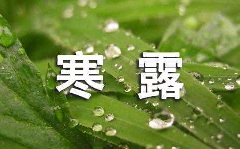 寒露節(jié)氣習(xí)俗作文(通用25篇)