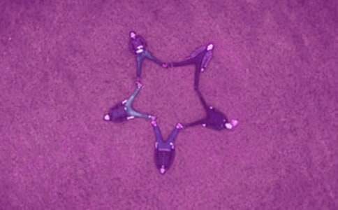 ���P(gu��n)���ҵĺ�������3ƪ