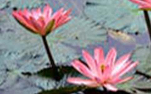 �ɻ���������200��