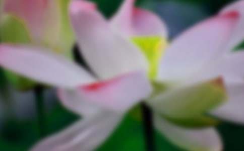 �茑�ɻ����~�Z��Ԋ��