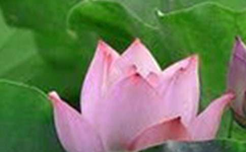 �����ĺɻ���������800��