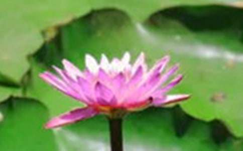 �ɻ���������3ƪ