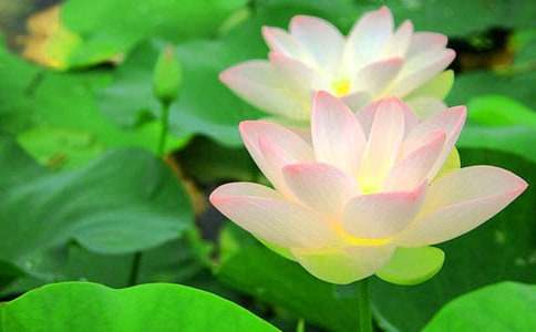 ��ϲ�g�ɻ�������700��