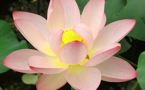 ��ʾ�ɻ��ɫ��abb�~�Z