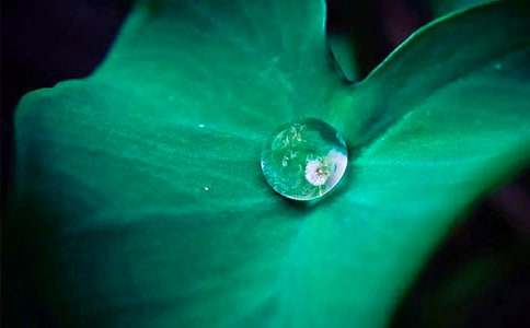 ��Ը��ĸ�H��һ�غ��~����