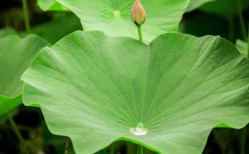 ������ĺ��~�Č������伯�\