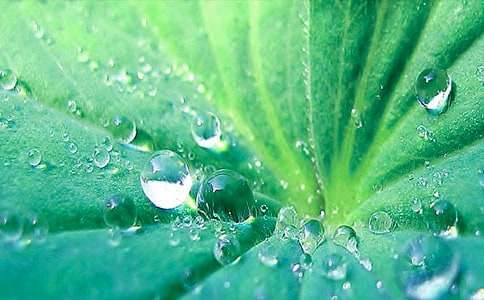 �������ģ�ĸ�H����~