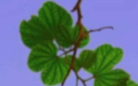 ���C֮��_����