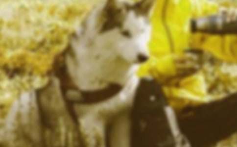 ؈�����C��̎����