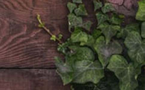 �P�������˿�������:���C���˿�