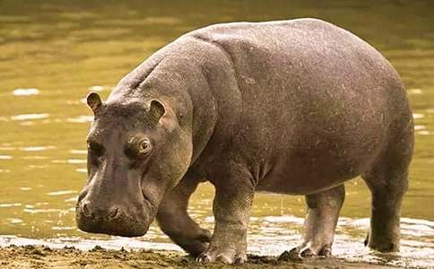 ���R�Ĺ�Ƿ���꼉(j��)����