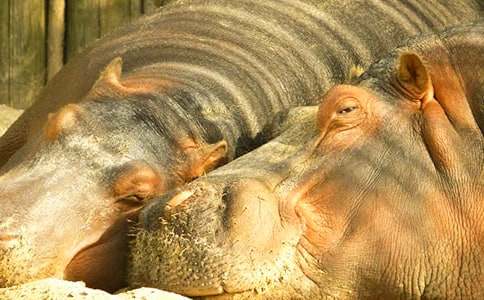 ���R_�P(gu��n)�ڄ�����f����500��