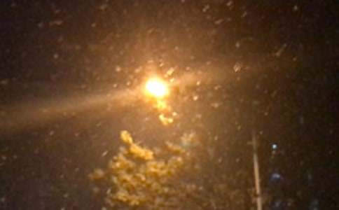 感悟黑夜的初中作文