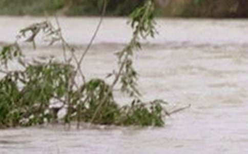 ��ˮ����600�֣�ͨ��21ƪ��