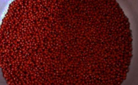 種紅豆作文600字(精選15篇)