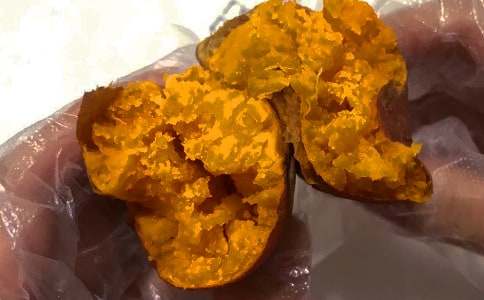 紅薯作文600字六篇