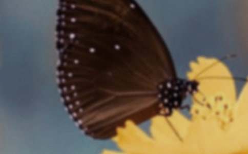 ���^�����������