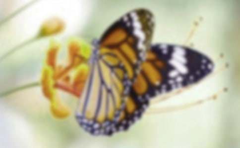 �۷�ͺ����������ģ�ͨ��30ƪ��