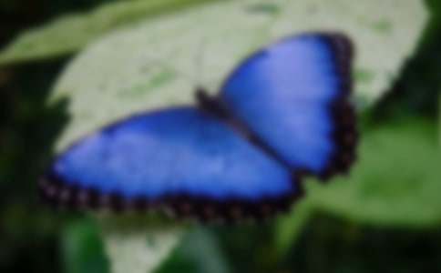 �������۷�ͯԒ����400��