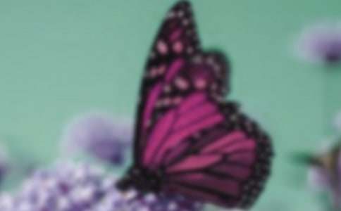 �������۷�����700�֣�ͨ��32ƪ��