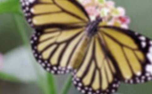 �^�������������ô��-�^�����������