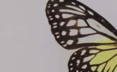 ����ͯԒ������(��)