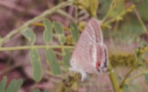 �������^������