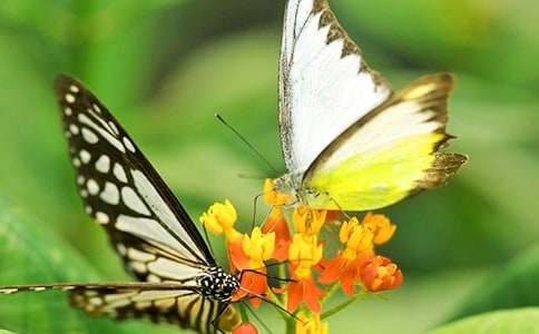 �^����������ķ���