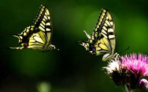 ���ĺ���ͯԒ���ģ����x20ƪ��