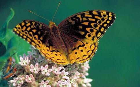 �����ͺ�����������