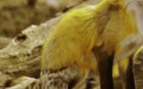 ����؂�͞��f���Č�����