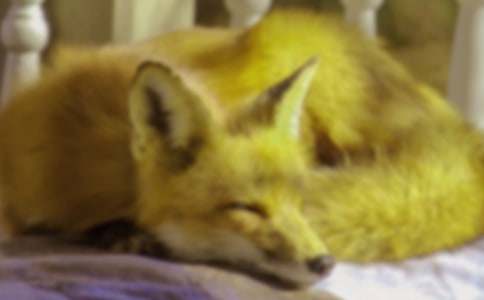 ��؂�c���fС�W(xu��)����