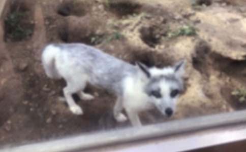 ͯԒ��ĺ�؂����