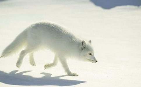 ��؂��С�W(xu��)����8ƪ