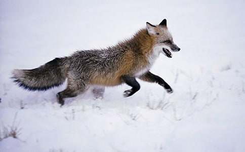 ��؂ͯԒ����[���A]