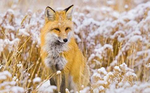 ����(sh��)�á���؂ͯԒ�����\��9ƪ