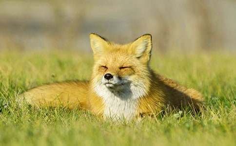 ��؂��С؈ͯԒ����