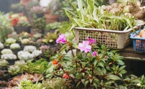 ���ٻ�����ĵ��w��