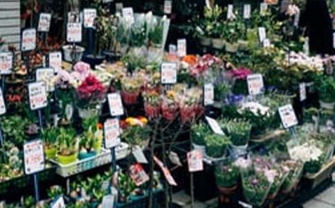 �r����Č�(li��n)