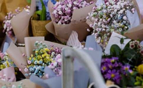 ��������300����ƪ