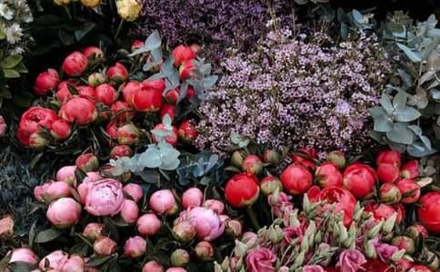 ����520���(d��ng)�߄���������