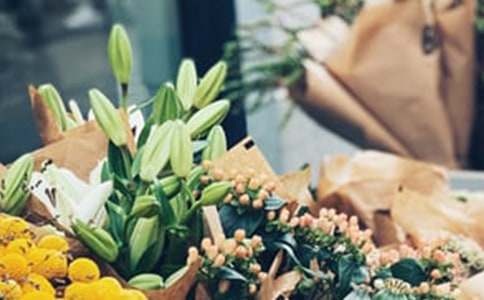 ��������600�ֺϼ�8ƪ