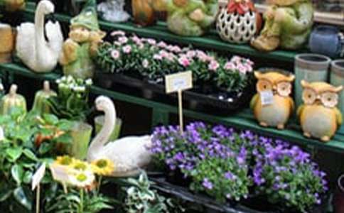 ����������Z(y��)(����)