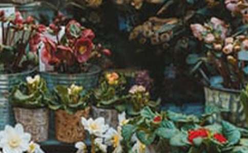 ��������300��4ƪ