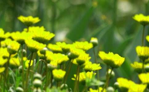 �_��ӛ����̎��������