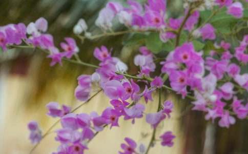 ��������800��:�_��ӛ����̎�Ļ��䣨ͨ��35ƪ��