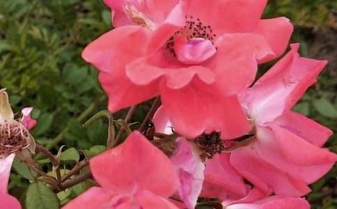 �_(k��i)��ӛ����̎�Ļ����������